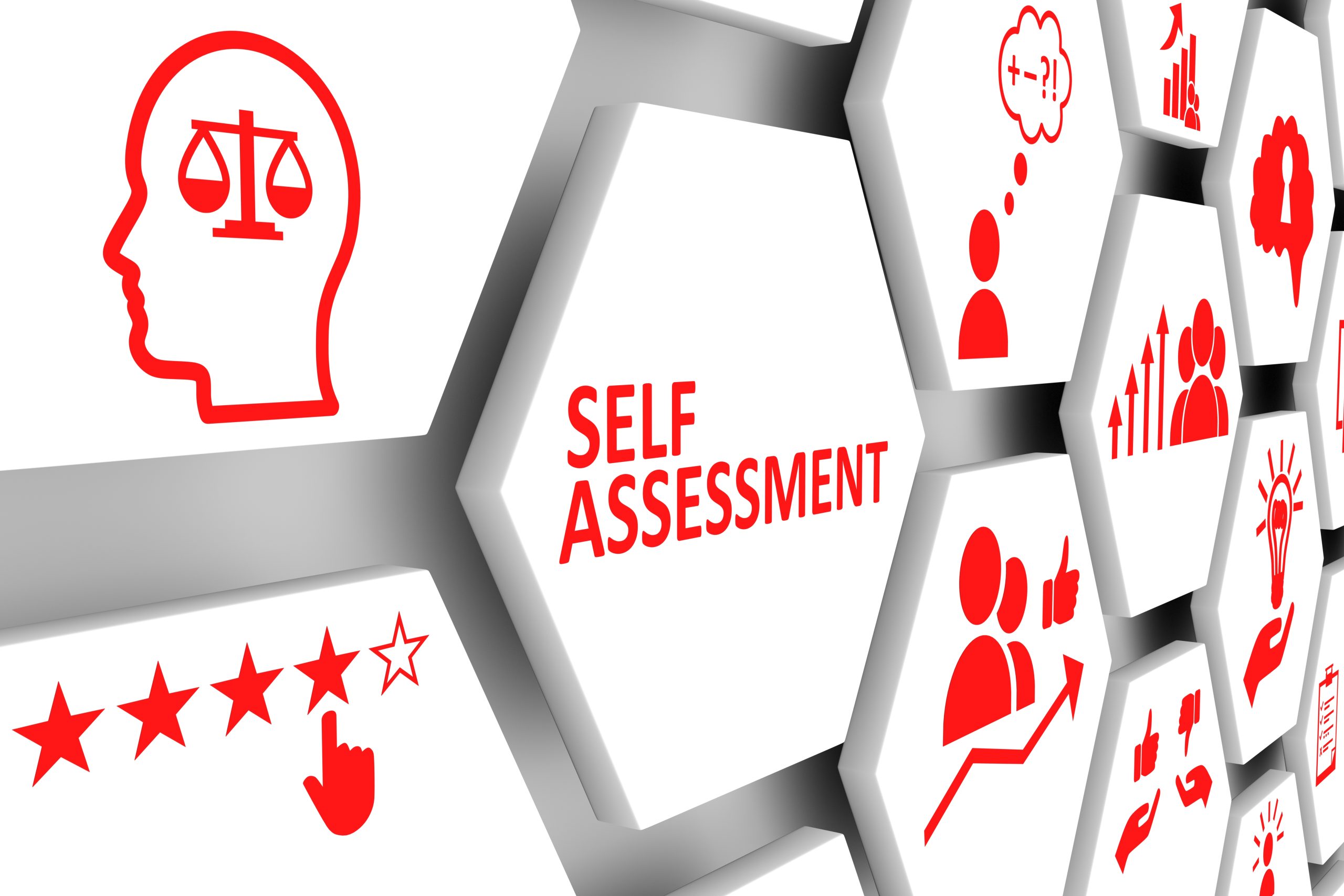 the-validity-of-self-assessments_0
